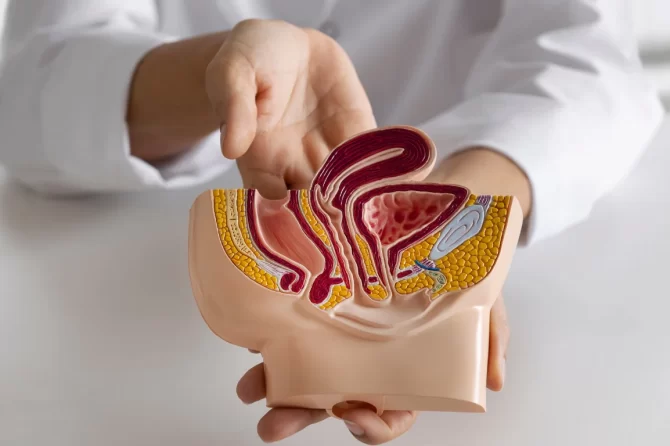 Estenose de Uretra: O Que É, Quais os Sintomas e Como Tratar com Apoio da UROSERV