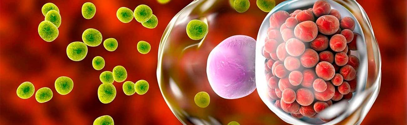 A-DST-ou-doencas-sexualmente-transmissiveis-sao-infeccoes-causadas-por-virus-bacterias-ou-outros-microrganismos-que-sao-transmitidos-principalmente-por-meio-do-contato-sexual-desprotegido-1 A-DST-ou-doencas-sexualmente-transmissiveis-sao-infeccoes-causadas-por-virus-bacterias-ou-outros-microrganismos-que-sao-transmitidos-principalmente-por-meio-do-contato-sexual-desprotegido-1